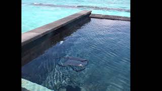 Freegrace Waterproof Bag Review