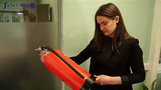Annual Inspection of Britannia P50 Service-Free Fire Extinguishers
