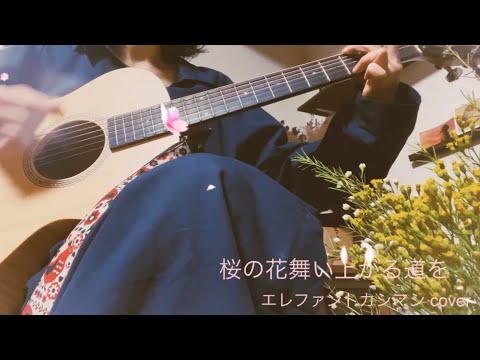 桜の花、舞い上がる道を /エレファントカシマシ／宮本浩次/弾き語り/cover