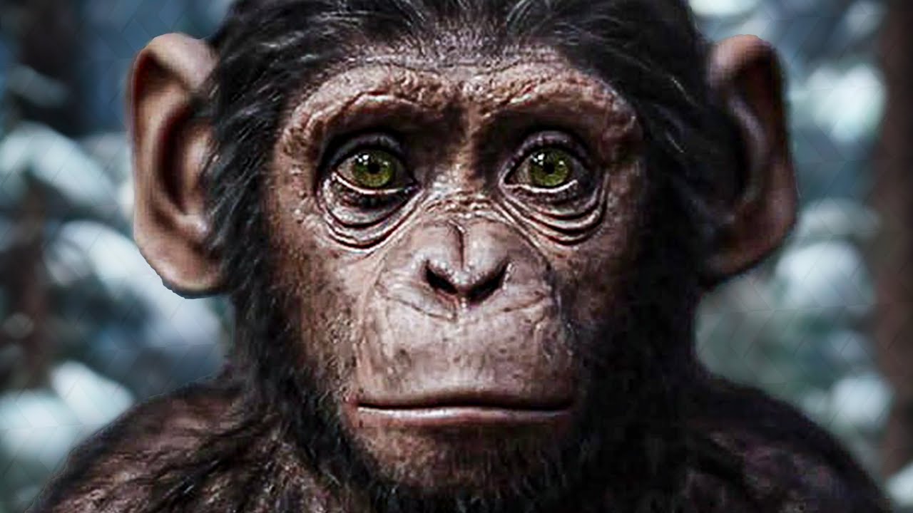 KINGDOM OF THE OF THE APES (2024) Movie Preview YouTube