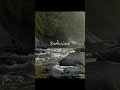 تلاوه جميله للشيخ محمد اللحيدان من ﴿سورة المعارج، الآية ٥﴾ #قرآن #قران_كريم #مصحف