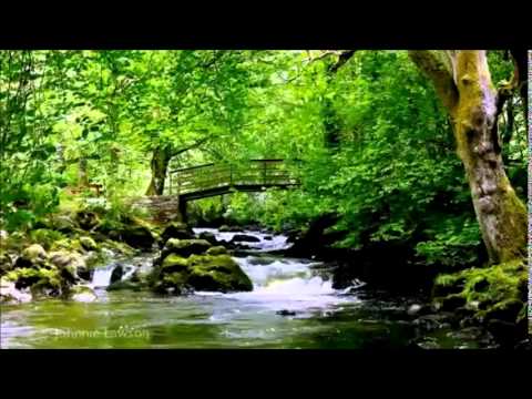 مونتاج وصف الجنـه 