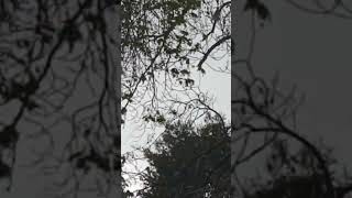 kilis'te Yağmurlu 1 pazar günü 12.04.2026 16.00