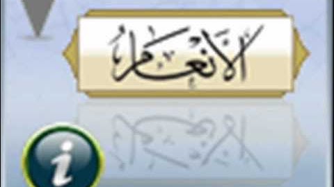 حمزة تاكارلي ما تيسر من سورة الأنعام