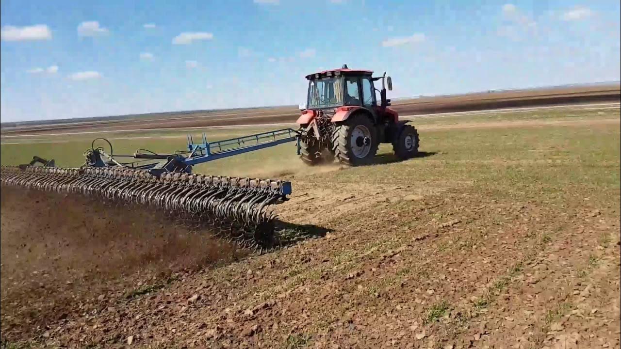 Борона фото в поле
