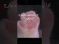 لإني تعبت عليه سلكو مع اني اعرف انه خـ متابيع ميمي اقوى شي لوڤ يوو ميمي تنجح والكلاب تنبح