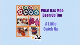 No 74  What’s Moo been up to 💜🐮💜