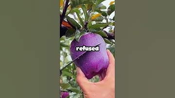 What was your "never interrupt an enemy while they are making a mistake"moment?