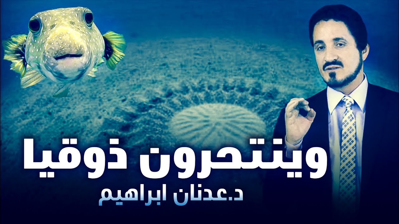 الدكتور عدنان ابراهيم l وينتحرون ذوقيا