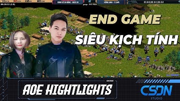 "ĐẲNG CẤP" của CHIM SẺ được khẳng đước trước HỒNG ANH trong trận chung kết này | AOE HIGHLIGHTS