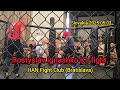 Rostyslav Ignashko kickboxing fight • HAN Fight Club (Bratislava) • War Zone Slovakia 2025.05.03