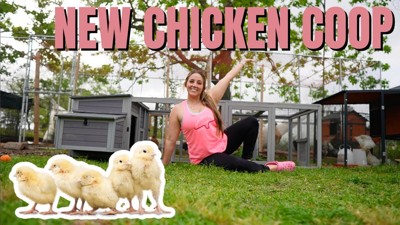 Aivituvin Large Chicken Coop with Run for 4-6 Chickens