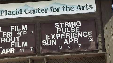 Music Magic  The String Pulse Experience
