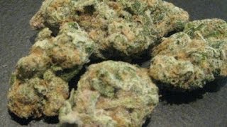 Bongs Up! with IE420: Dr. Who