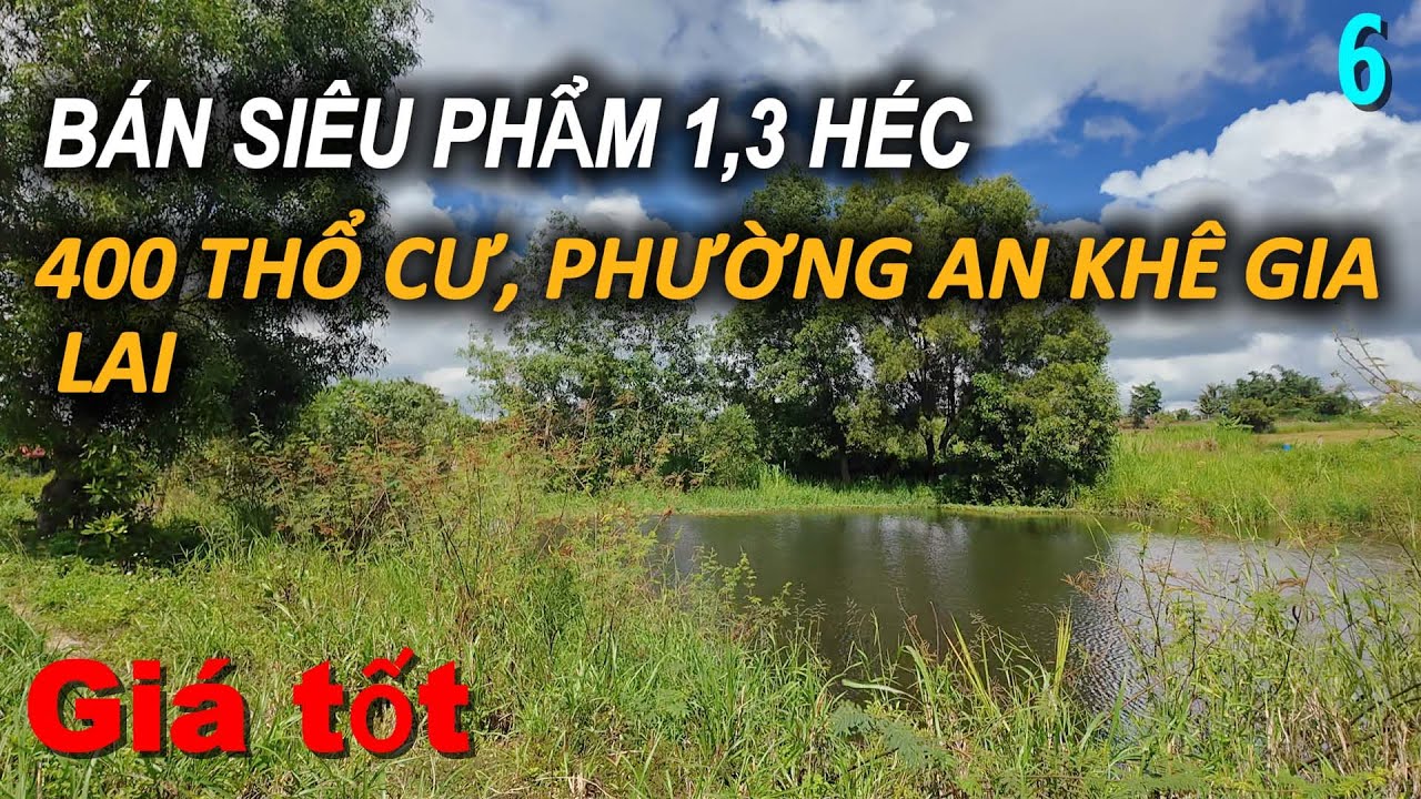 Bán 1,3 héc 400 thổ cư, phường An Khê gia Lai giá tốt