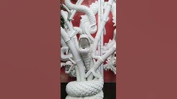 Year of the Snake #birthsigns #symbol #snake #shortsvideo #shorts #yearofyou #trends