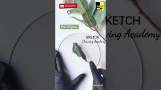 How to mix Eucalyptus Green Color🌱🍃#shorts#colors#drawing #painting #art