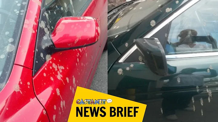 Investigation into falling poop