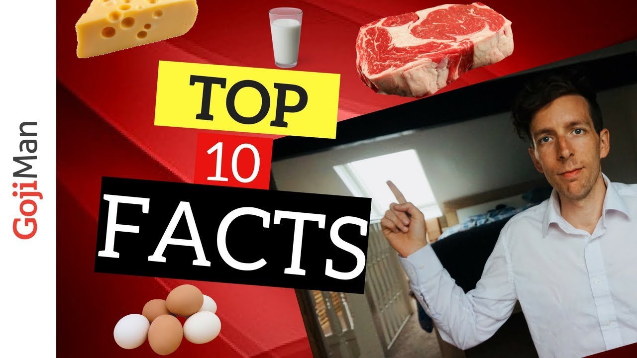 Why Animal Protein Is Bad For You - Top 10 Facts - YouTube
