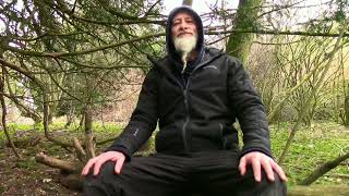 Getting The Full Benefit From Our Time In Nature / Recognising Frequencies by  Musings From The Woodlands 437 views 1 year ago 4 minutes, 38 seconds