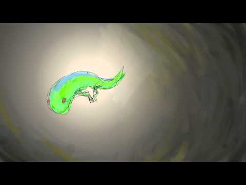 Wacom Inkling Animation - Lizard Scurry