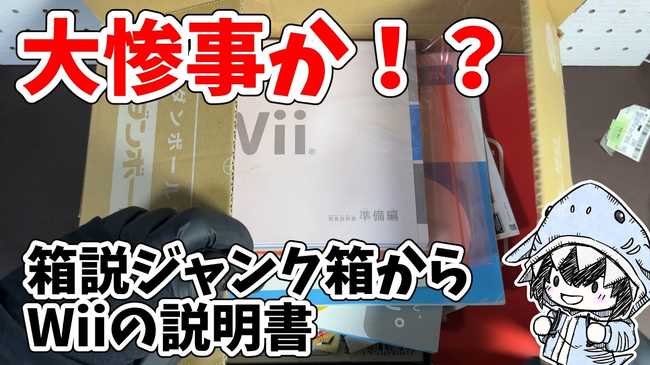 Total Disaster!? A Wii manual in a $5500 junk box of just cases