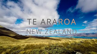 Te Araroa Timelapse - New Zealand