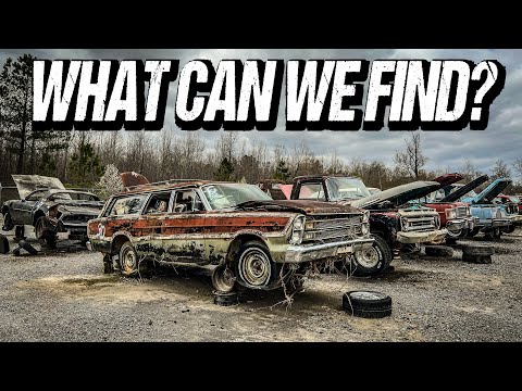 Exploring Vintage JUNKYARD Cars Left ABANDONED! Major Parts Haul!