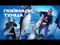 ПОЙМАЛИ ОГРОМНЫХ ТУНЦОВ! | Рыбалка на ТУНЦА на Сахалине | Салон катеров и яхт "Водник"