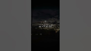يَسمعُ ءَايَاتِ اللَّهِ تُتلى عَليهِ | القارئ ماهر المعيقلي #تلاوة_هادئة اكتب شيء تؤجر عليه 😴❤️