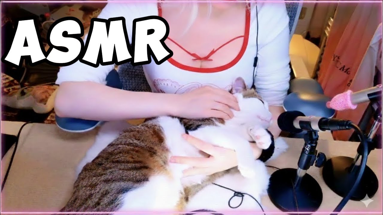 ASMR Chinese | Cute Kitten Relaxing Sounds | No Talking For Sleep