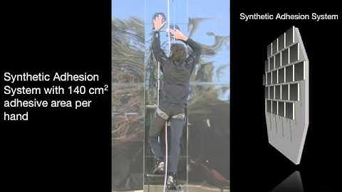 Stanford research: Human climbing with efficiently scaled gecko-inspired dry adhesives