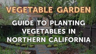 Guide to planting vegetables in ...