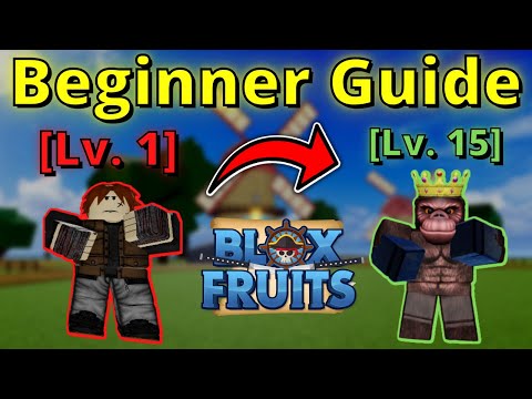 A Complete Beginner's Guide to Blox Fruit