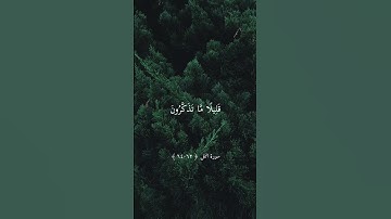 أَمَّن يُجِيبُ الْمُضْطَرَّ إِذَا دَعَاهُ وَيَكْشِفُ السُّوءَ | ماهر المعيقلي تلاوة جميلة ارح سمعك
