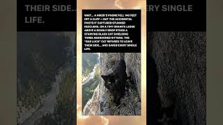 Phone Fell Off Cliff... Revealing Hidden Story