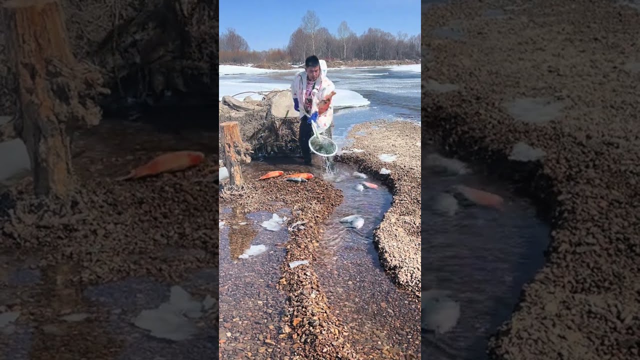 Fishing In Mohe The Northeast Joy Of Outdoor Wild Experiencex 416