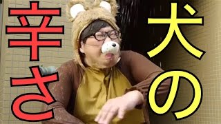デカキンが犬になってみた！【ぼくのハチ公〜残業アラーム〜】