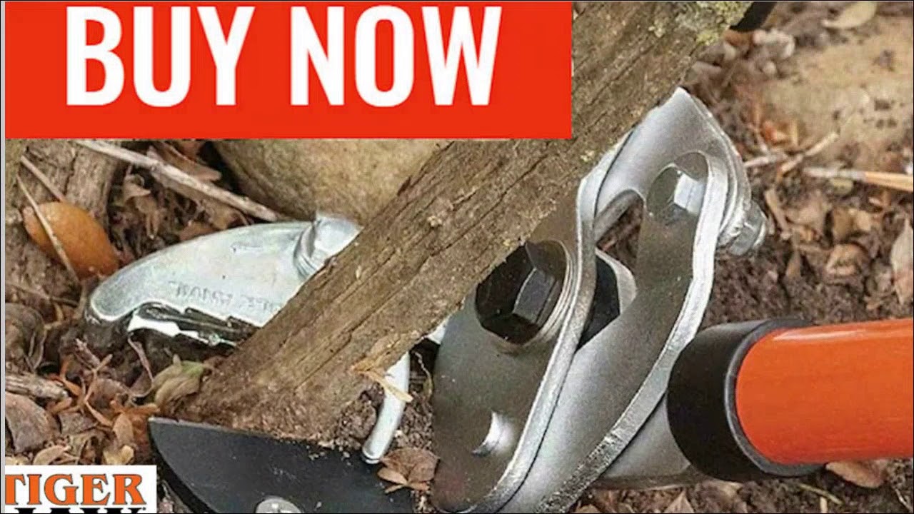 Tiger Jaw, Pruner Enjoy Today's Great Deal In Denton! YouTube