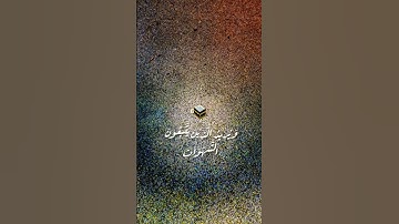 تلاوة خاشعة تريح القلب والروح.  #قرآن_الصباح #قران_كريم #تلاوة_خاشعة #تلاوات #ترتيل #مصر #المغرب
