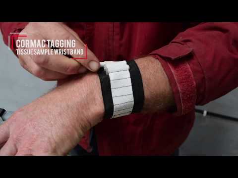 Tissue Sample Wristband - Cormac Tagging