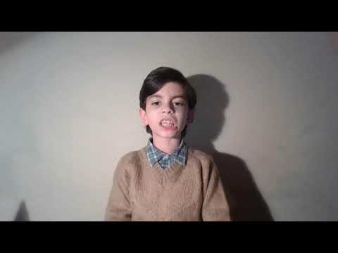 \"პოეტი\" - ილია ჭავჭავაძე