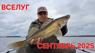видео: Рыбалка на оз.Вселуг в сентябре 2025 картинка: Рыбалка на оз.Вселуг в сентябре 2025