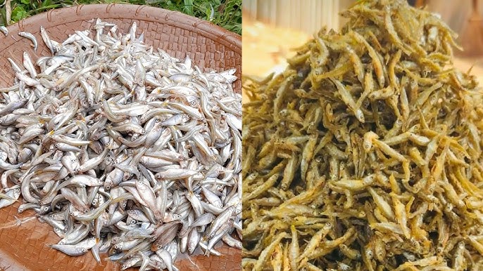 Porno Ekaterina Vladimirovna