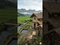 Rumah Bambu Estetik di Pinggir Sungai Persawahan  #timelapse #rumahbambu