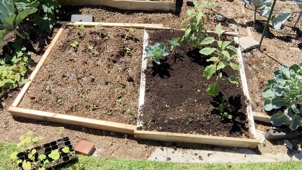 COMPARING HOME MADE TO STORE BOUGHT COMPOST YouTube