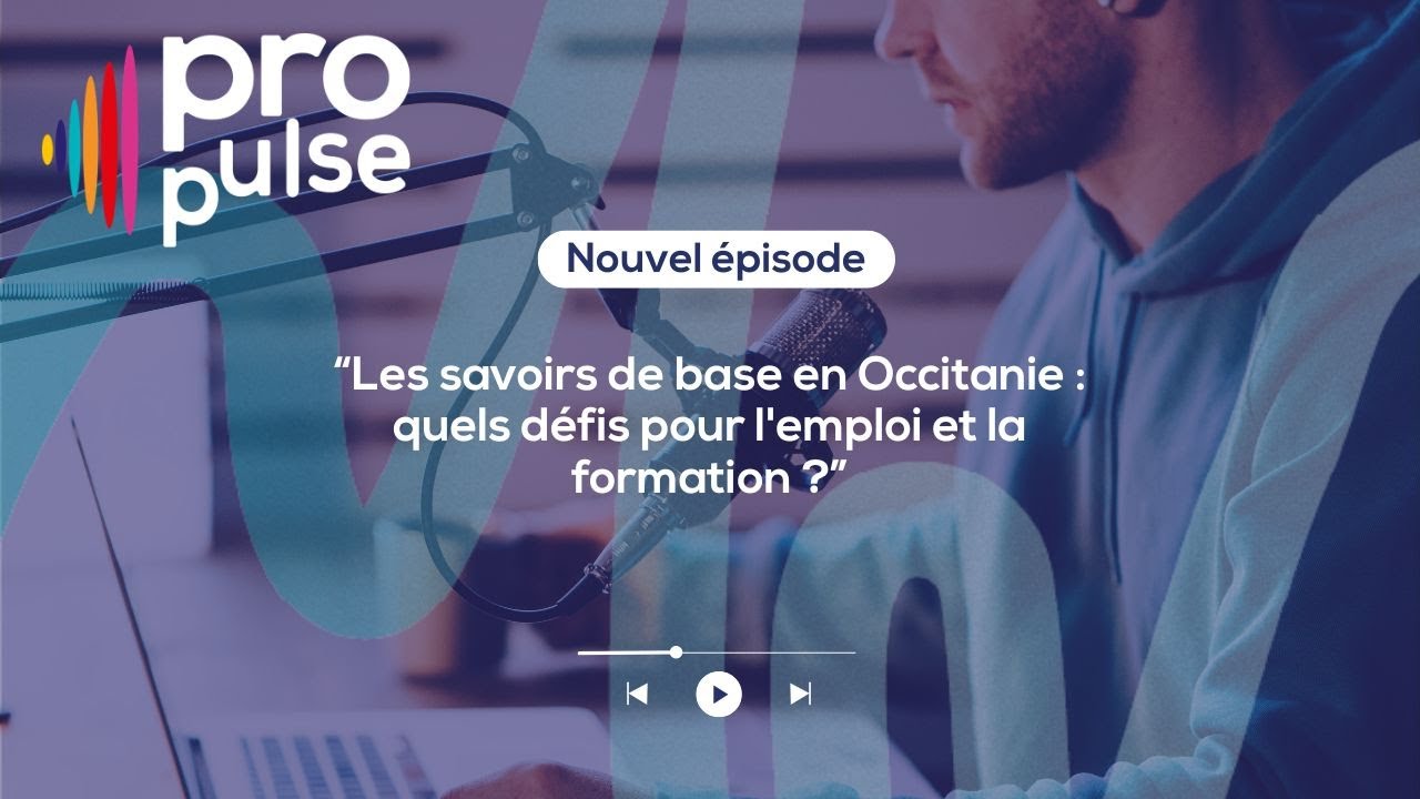 Les savoirs de base en Occitanie : quels défis pour l'emploi et la formation ?