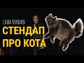 СТЕНДАП про КОТА. Саша Гришаев