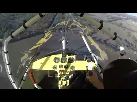 X-Air Standard Windy