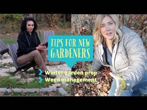 Video: Shranjevanje cannes pozimi: nasveti izkušenih vrtnarjev